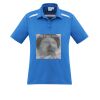 P901LS Womens Sonar Polo Thumbnail